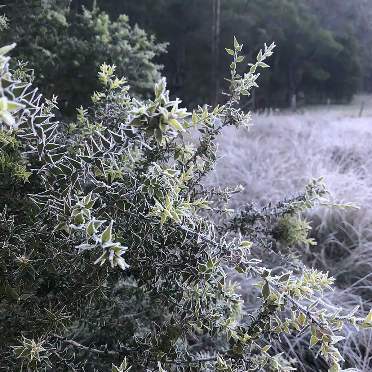 Wollombi Valley Landcare Group - Contact us
