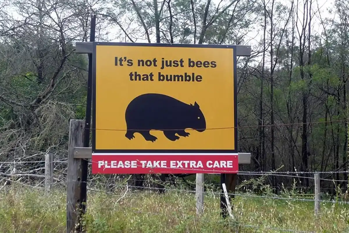 Wollombi Valley Landcare Group - Wombats of Wollombi